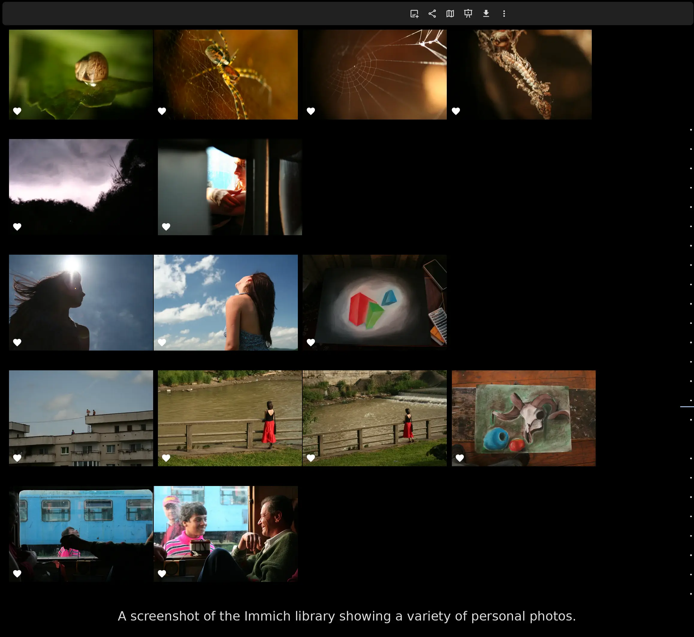 A screenshot of the Immich library showing a variety of personal photos