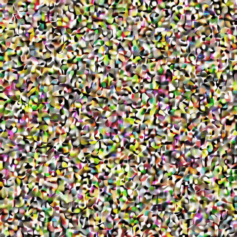 The denoising process: pure visual static gradually resolving into a clear photograph, step by step.