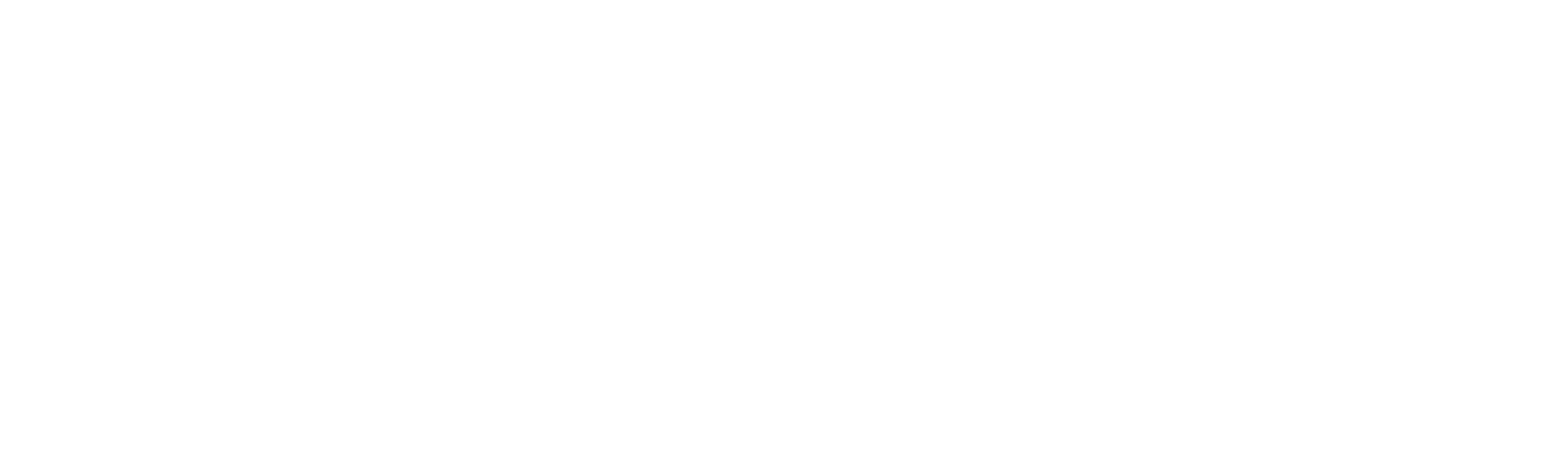 Fønix Invest